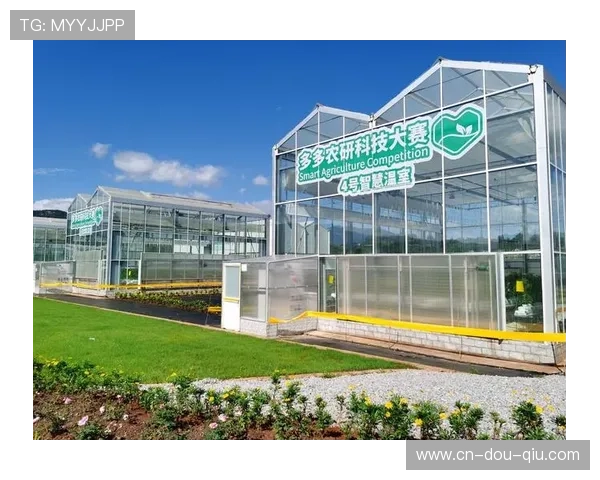 由于底层编码协议在本季度更新 体育赛事数字化制播平台实现了能效比翻倍